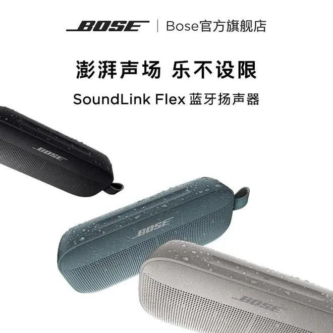 ：聆听天籁之音尽享音乐盛宴J9数字平台十大音响品牌(图9)
