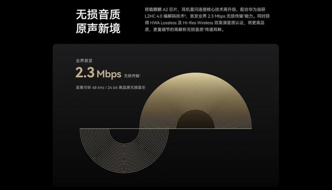 悦彰正式发布音频领域新时代已来！九游会知音共鸣！高端声学品牌华为(图5)
