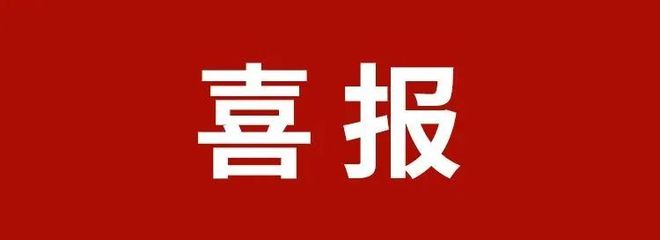 ！连接铜陵的又一座长江公铁大桥最新进展！一批失信名单曝光！九游会j9ag【铜陵头条0515】2人因网络交友诈骗被抓(图8)